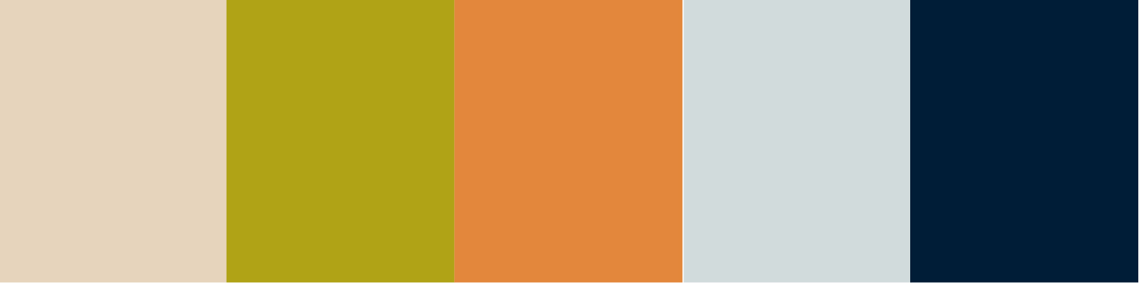 Color Palette Option #1<br>&nbsp;