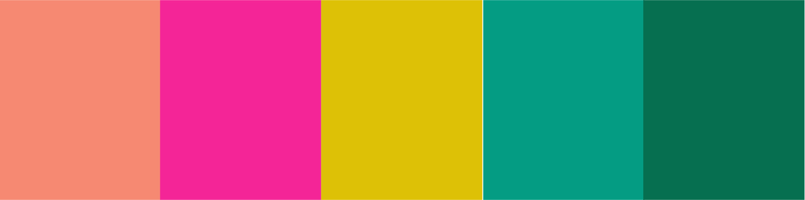 Color Palette Option #5<br>&nbsp;